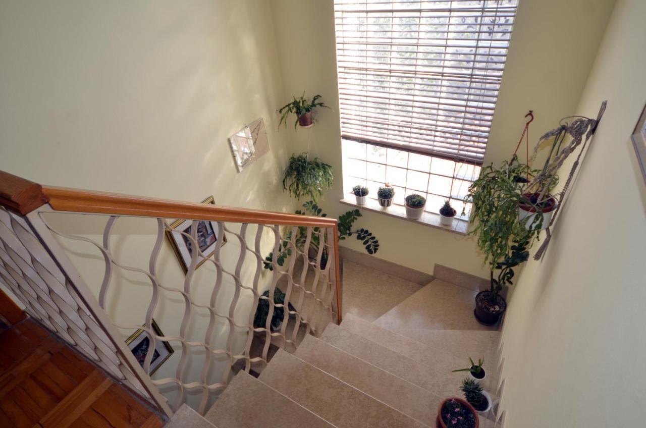 Aneli Rooms & Apartament Rovinj Zewnętrze zdjęcie